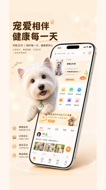 宠问 截图3