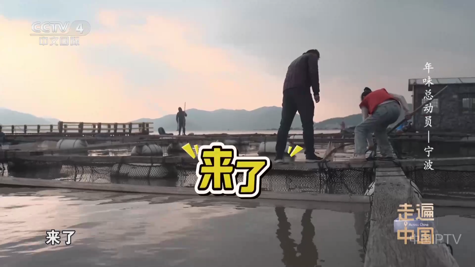 正版网络电视TV 截图1