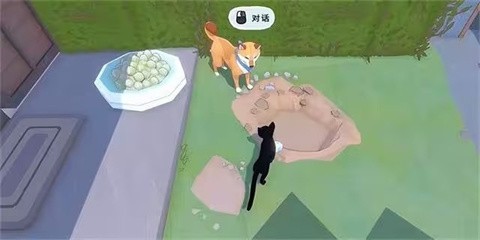 小猫咪大城市 截图3