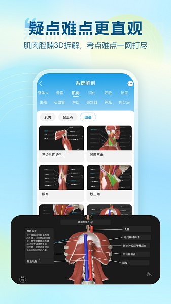维萨里3D解剖 截图3