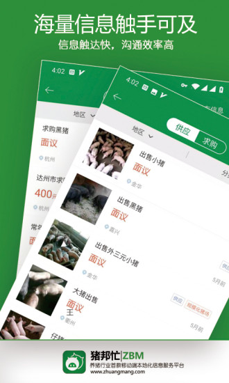 豬邦忙 截圖2