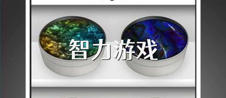 智力游戲
