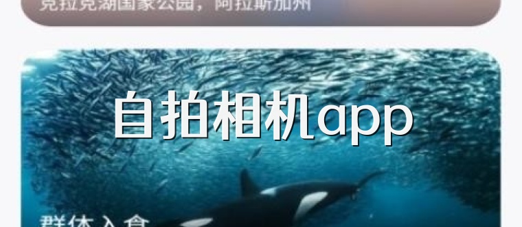 自拍相机app