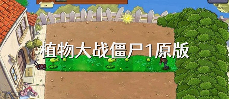 植物大战僵尸1原版