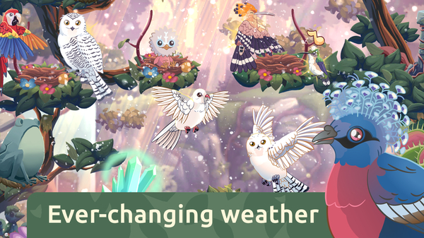 鸟类世界游戏(BirdKind) 截图4