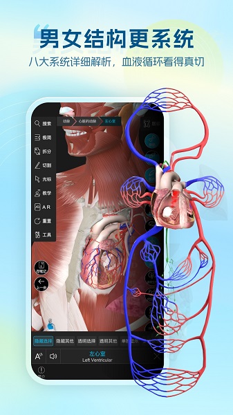 维萨里3D解剖 截图2