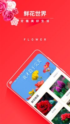 活力花 截圖1