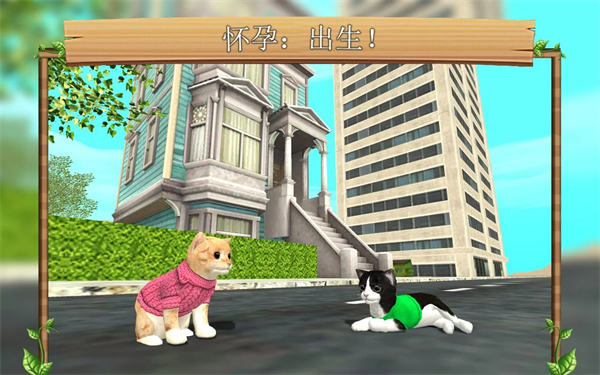 猫咪生存模拟器中文版 截图3