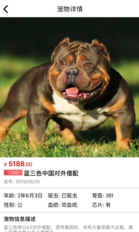 貓行狗市 截圖5