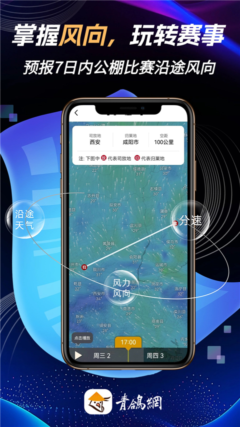 青鸽网App 截图3