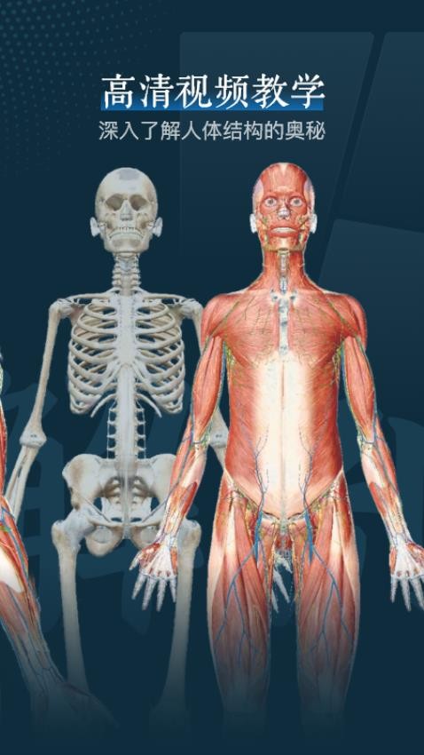 人体解剖学图谱app 截图3
