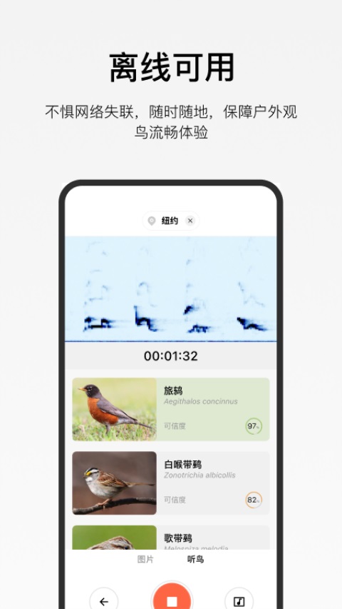 懂鸟App 截图4