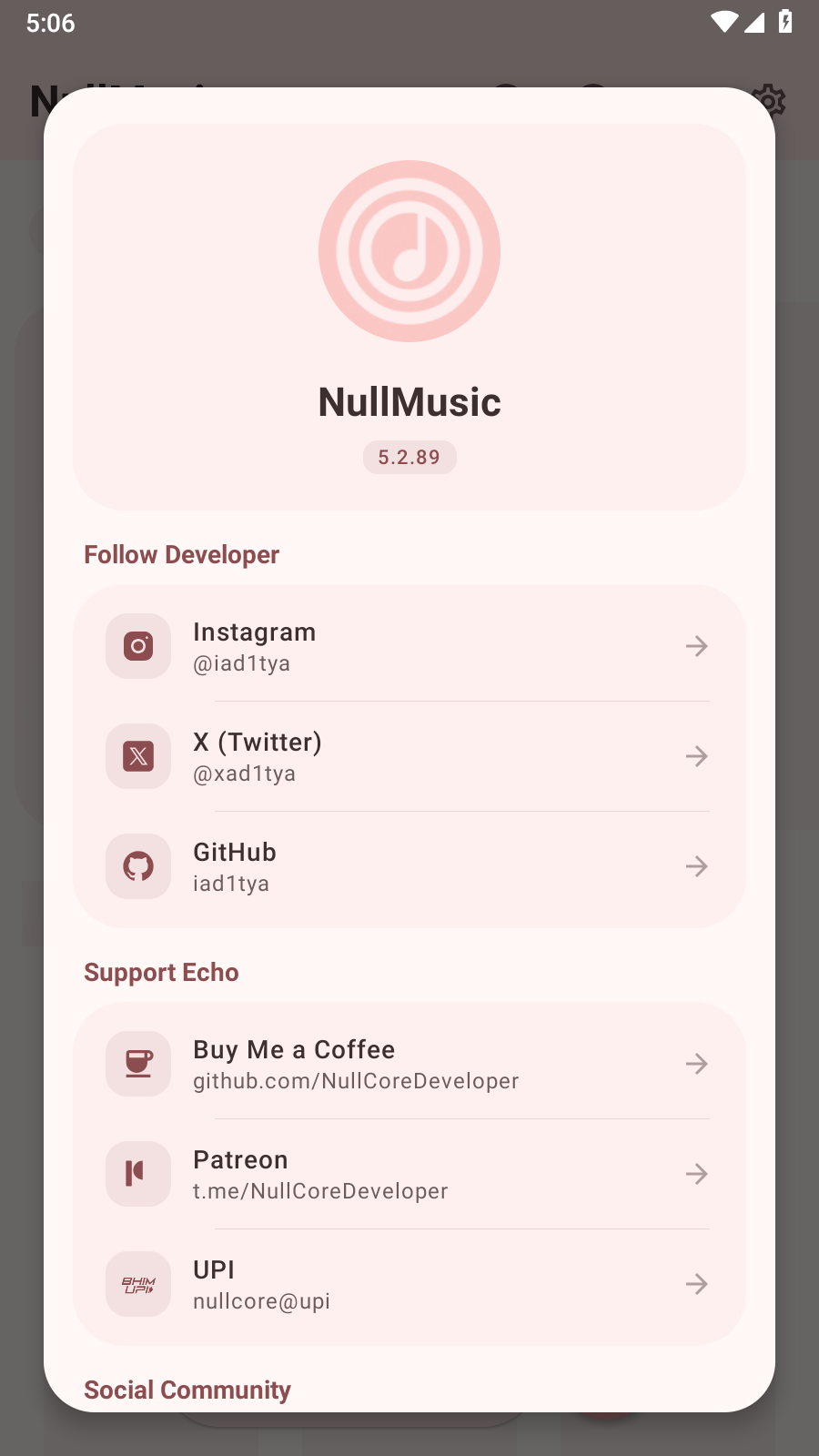 NullMusic 截图1