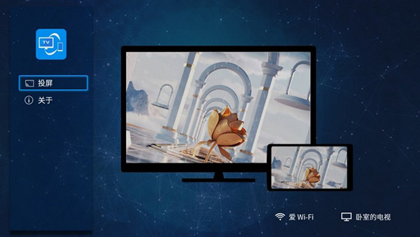 雨燕投屏高級(jí)版 截圖2