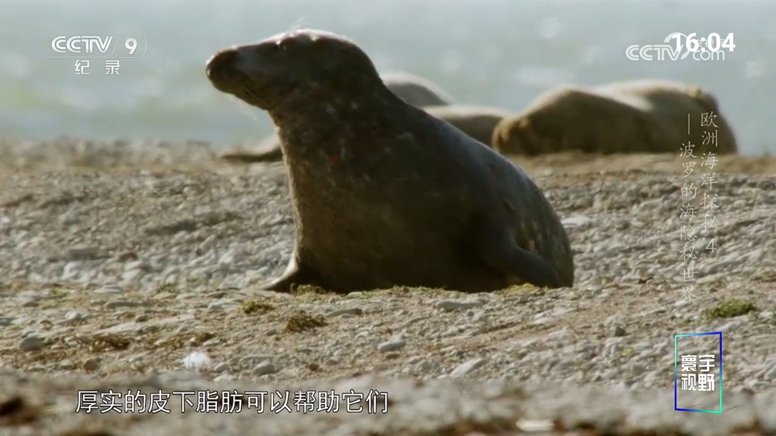 寶盒愛看免費版 截圖1