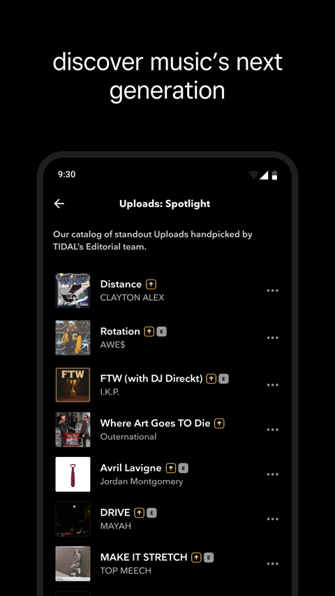 tidal音乐app 截图5