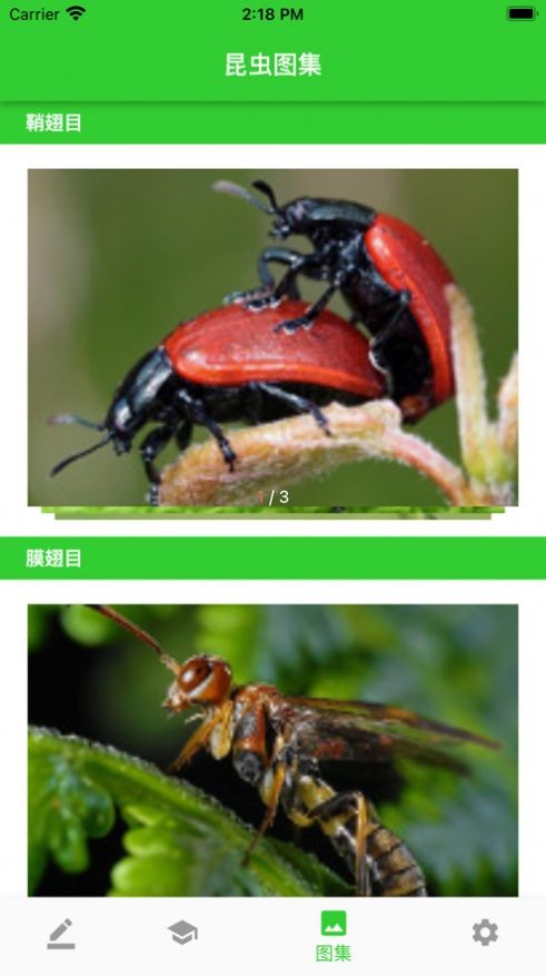 虫笔 截图1