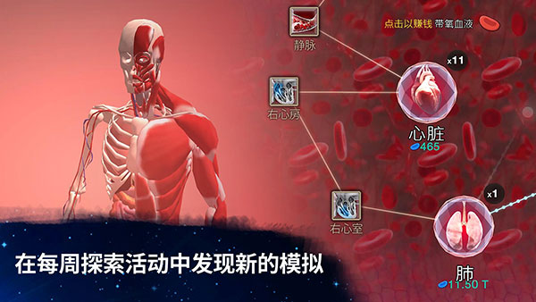 从细胞到奇点国际服 截图4
