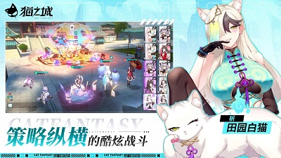 猫之城官网手机版 截图5
