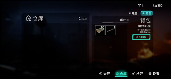 死支升变游戏 截图3