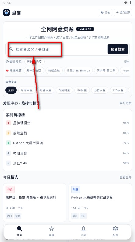 盘猫 1