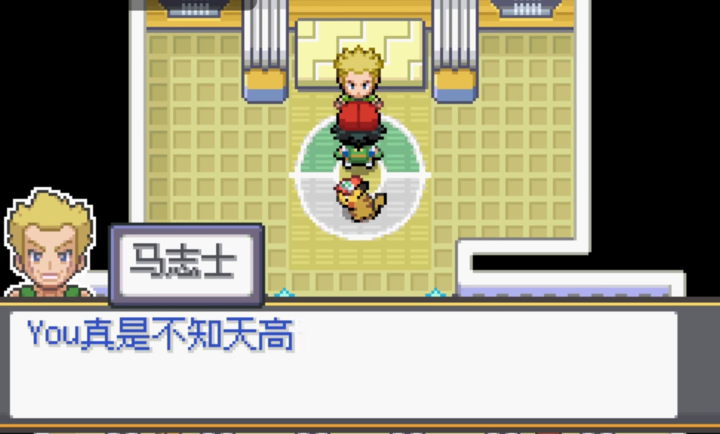 精灵宝可梦sa手机版 截图3