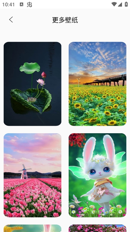 Quin壁纸官方下载 截图3