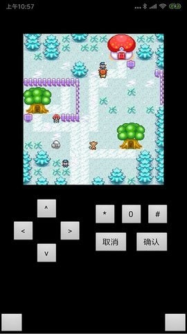 宠物王国1正版 截图2
