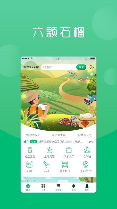 六棵石榴最新版 截图2