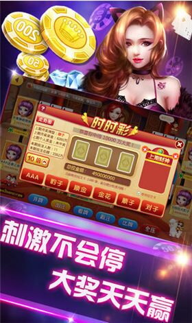 龙腾娱乐棋牌 截图2