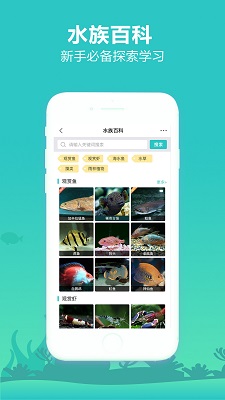 泡泡水族2025 截图5