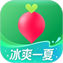 叮咚买菜官方版