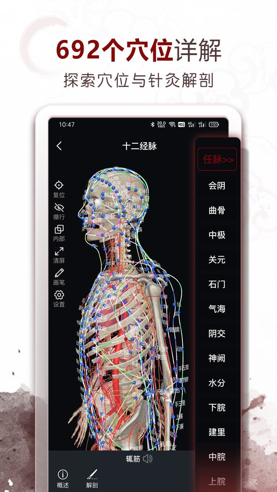 中医经络穴位安卓版 截图5