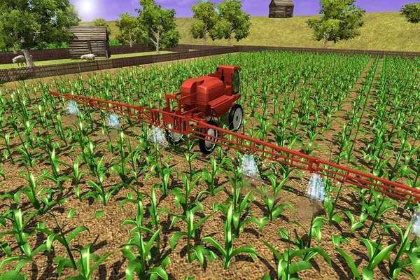 玉米种植模拟器2024 截图3