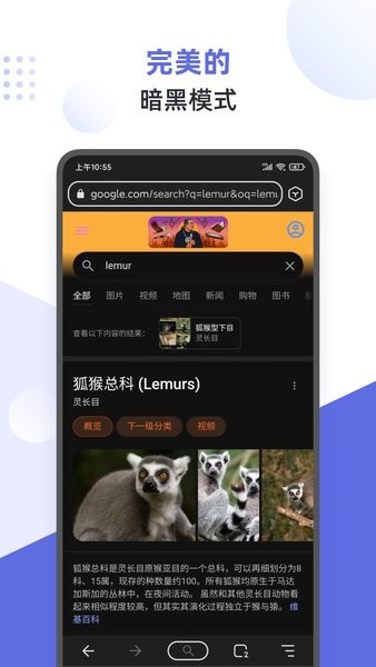 狐猴浏览器app  截图1