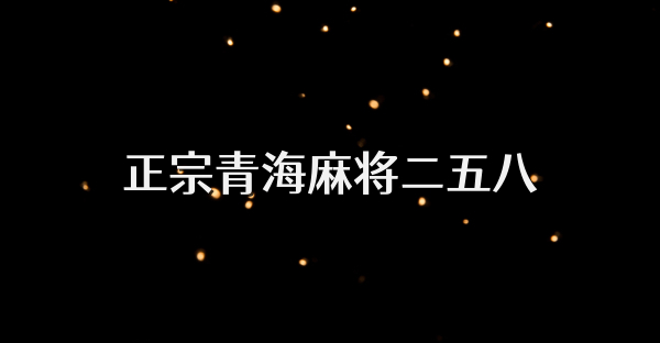 正宗青海麻将二五八