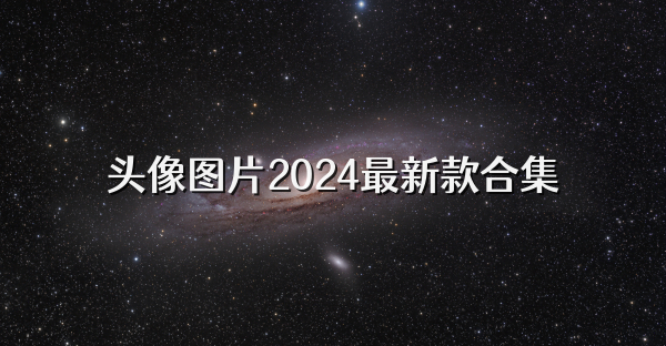 头像图片2024最新款合集