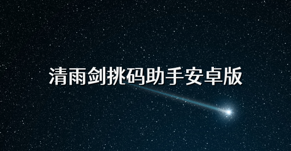 清雨剑挑码助手安卓版