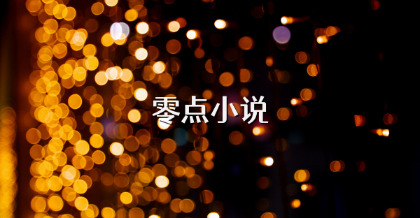 零点小说