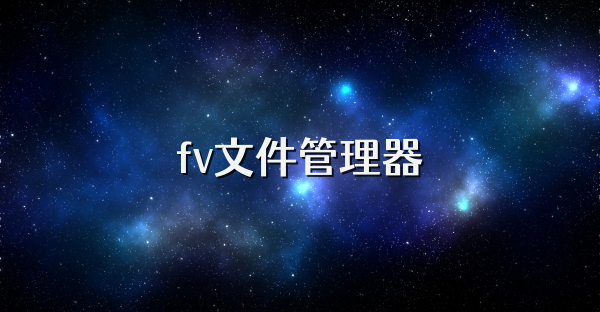 fv文件管理器