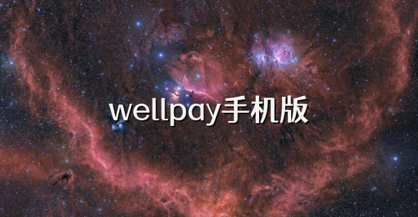 wellpay手机版