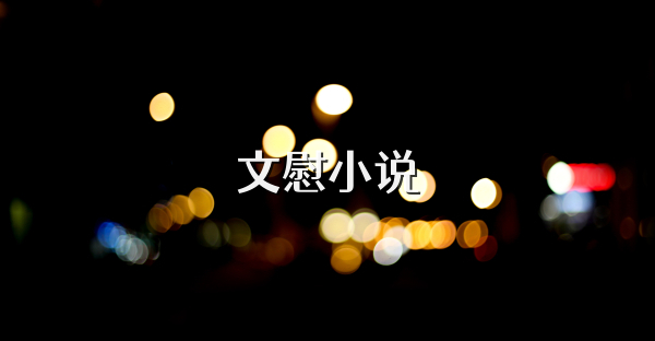 文慰小说