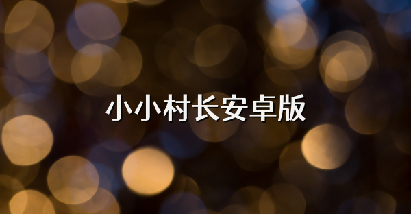 小小村长安卓版