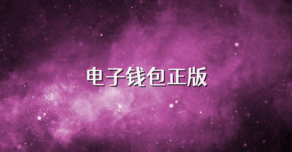 电子钱包正版