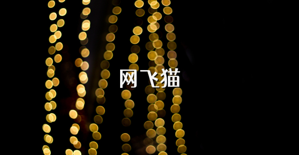 网飞猫