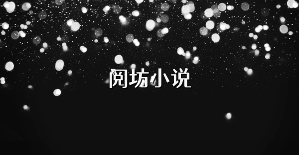 阅坊小说