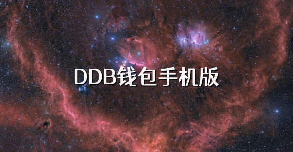 DDB钱包手机版