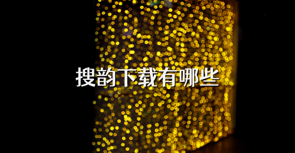 搜韵下载有哪些