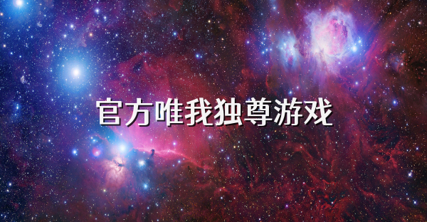 官方唯我独尊游戏