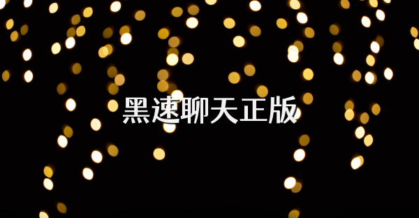 黑速聊天正版